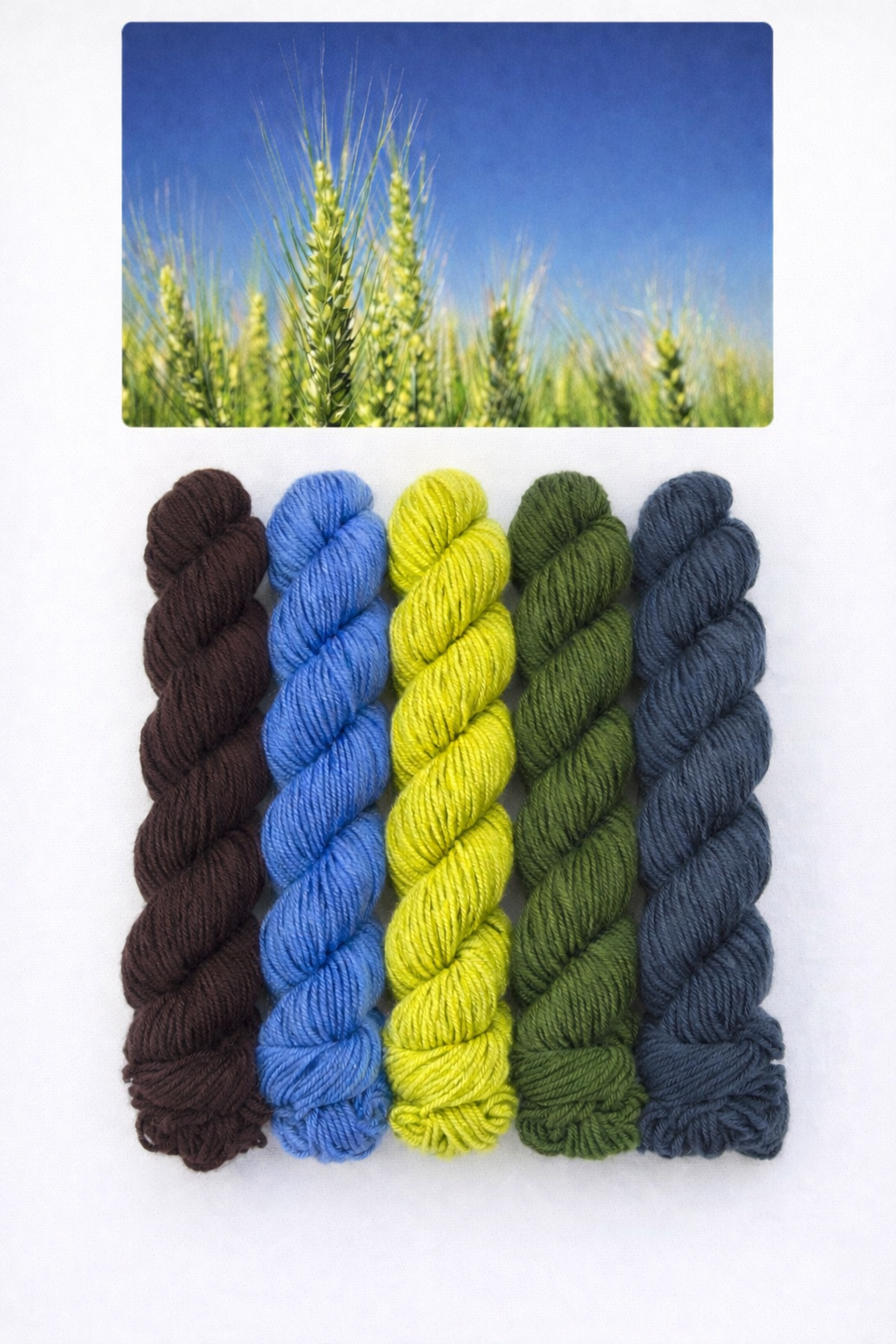 Sweet Grass