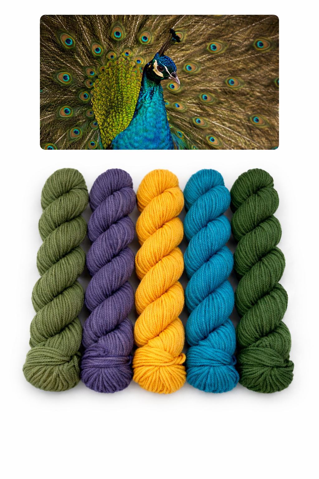 Let Me See Your Peacock